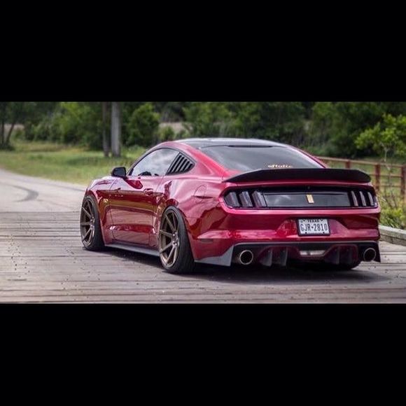 Meet your Posher, Abel - Picture 1 of 1